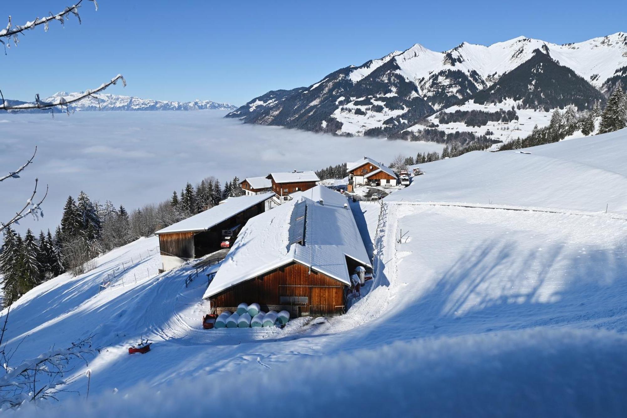 Berghof Burtscher Ludesch Exterior foto